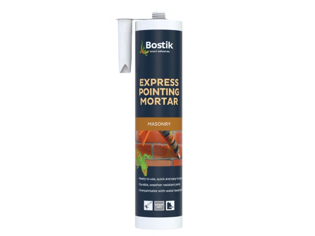 Express Pointing Mortar 310ml